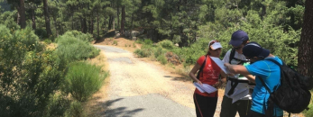 Orientación en montaña